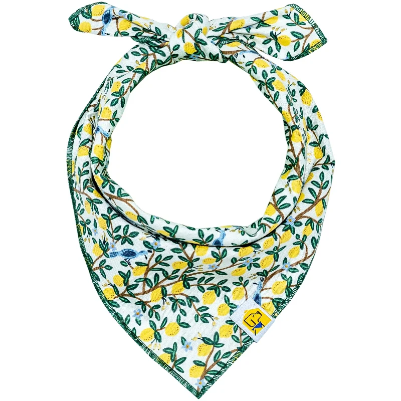 Limoncello Dog Bandana