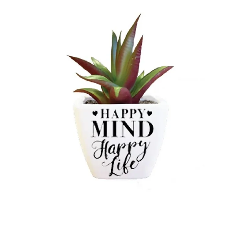 H & H Gifts : Artificial Succulent - Happy Mind